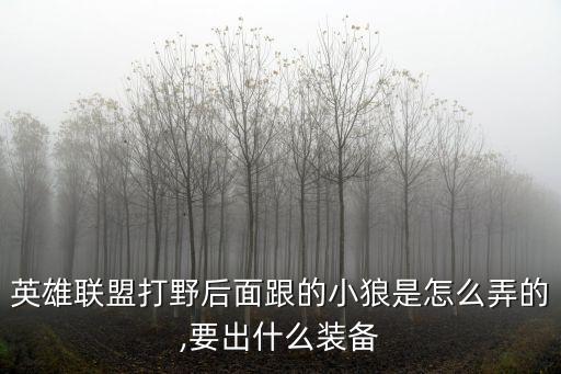 英雄聯盟打野后面跟的小狼是怎么弄的,要出什么裝備