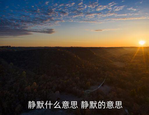 靜默,沉默的解釋（1）