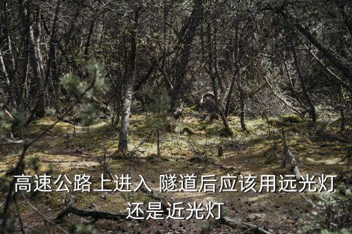 高速公路上進入 隧道后應該用遠光燈還是近光燈
