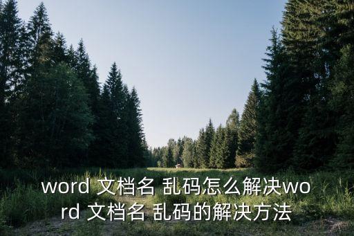 word 文檔名 亂碼怎么解決word 文檔名 亂碼的解決方法