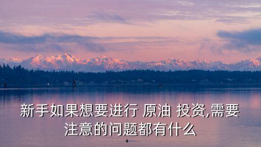 新手如果想要進(jìn)行 原油 投資,需要注意的問題都有什么