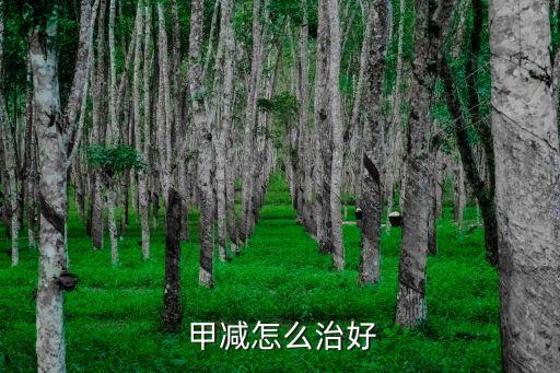 甲減是怎樣形成的,甲狀腺功能減退癥是一種自身免疫性疾病