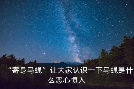 “寄身馬蠅”讓大家認(rèn)識一下馬蠅是什么惡心慎入