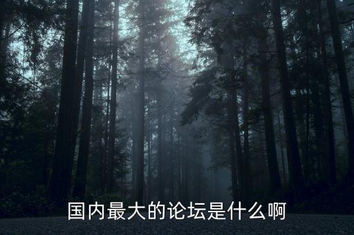 網絡廣告人社區,天涯社區成全球最具影響力華人網上家園