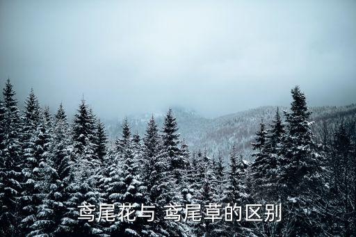 鳶尾草,鳶尾草:多年生草本植物葉互生花紫藍色
