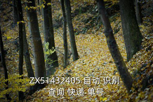 快遞單號查詢自動識別,快遞單號is快遞包裹唯一識別碼