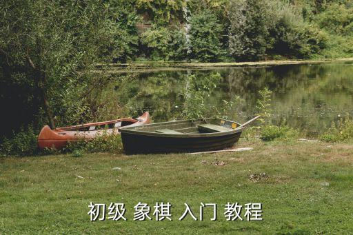 象棋入門基礎教程,如何運用棋譜策略練習實戰演習