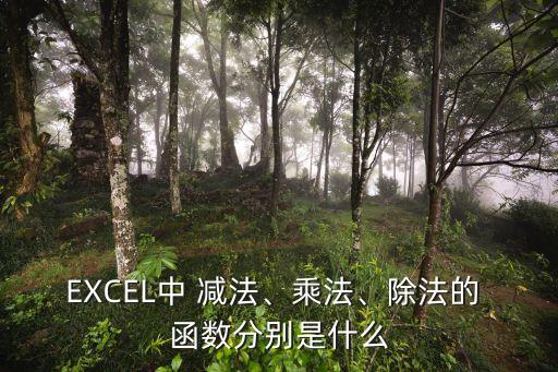 EXCEL中 減法、乘法、除法的 函數分別是什么