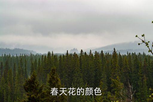 春天花的顏色