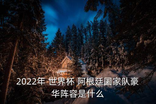 阿根廷世界杯名單,世界杯阿根廷國家隊豪華陣容