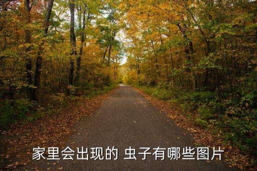 蟲子圖片大全,關于螞蟻你必須知道的5件事
