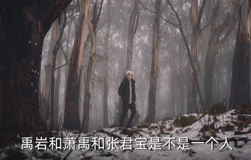  禹巖和蕭禹和張君寶是不是一個人