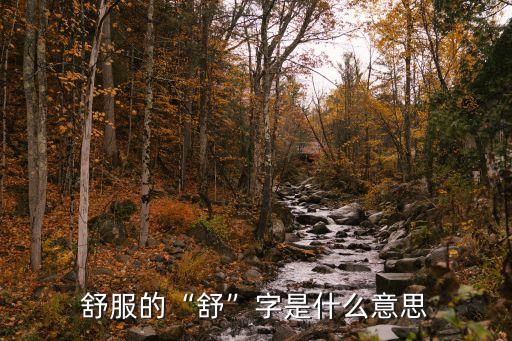 舒適的意思,舒適與舒服、舒暢、滿意、舒適