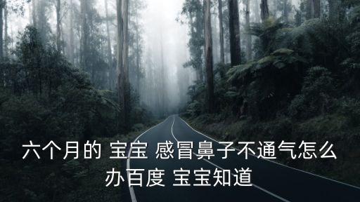 六個月的 寶寶 感冒鼻子不通氣怎么辦百度 寶寶知道