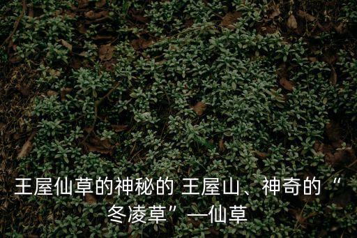 濟(jì)源王屋山,王屋山景區(qū)最為神秘古老神秘王屋老街依舊冷清