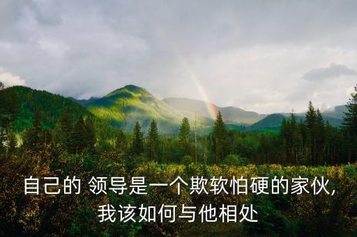 自己的 領導是一個欺軟怕硬的家伙,我該如何與他相處