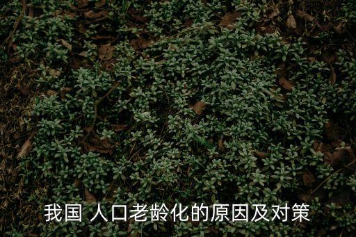 我國 人口老齡化的原因及對策