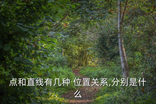 位置關系有哪些,空間中兩條直線的位置關系是平行還是相交?