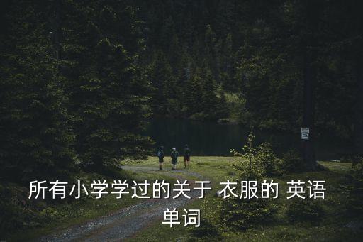 衣服的英語單詞,你的衣服很合身!英文單詞是中英雙向交流產物