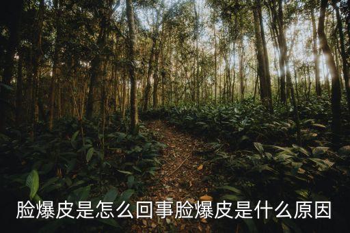 臉爆皮是怎么回事臉爆皮是什么原因