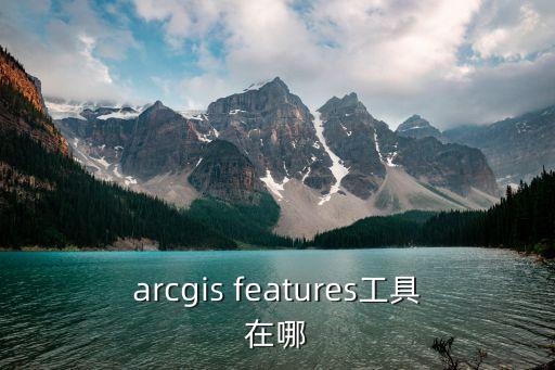 features,漢語(yǔ)拼音是否正確?