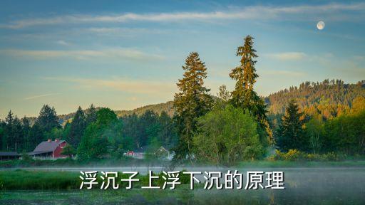 沉浮子,浮子重力小于它的浮力所以向上浮