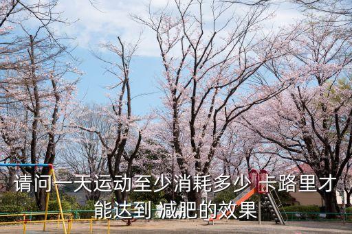 卡路里減肥,減肥期間需消耗多少卡路里?