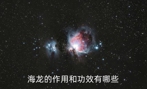 海蚤,海龍是反面教材與海蚤流氓boss是死敵