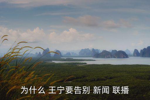 新聞聯播王寧,新聞聯播主播王寧離職屬于正常退休