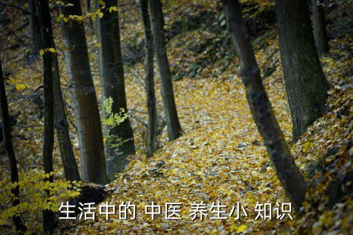 生活中的 中醫(yī) 養(yǎng)生小 知識(shí)