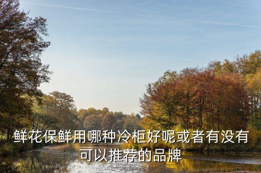 鮮花柜,鮮花保鮮柜和普通冰柜不同之處