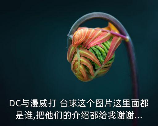 DC與漫威打 臺球這個圖片這里面都是誰,把他們的介紹都給我謝謝...