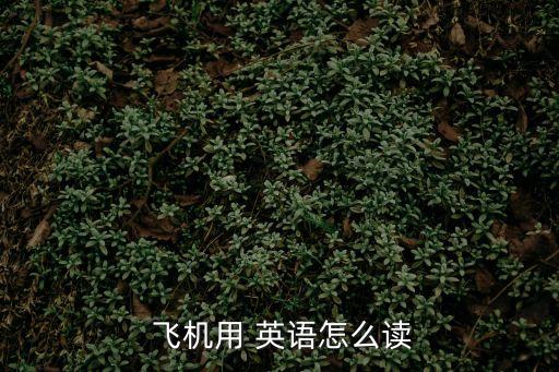 飛機英語,第二集:空中漫步機器人