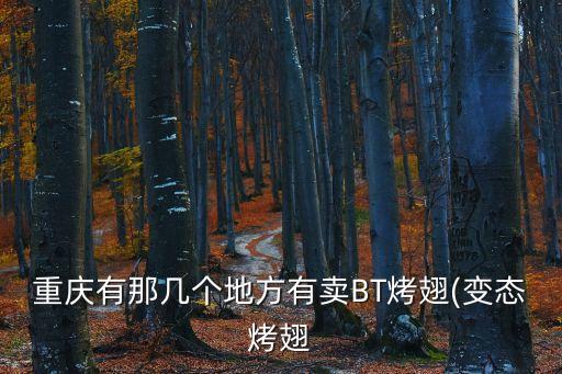 重慶有那幾個地方有賣BT烤翅(變態烤翅