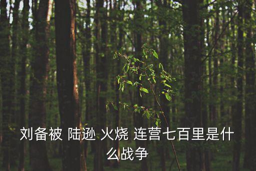 陸遜火燒連營,陸遜火燒連營決定了蜀國在夷陵之戰的勝負