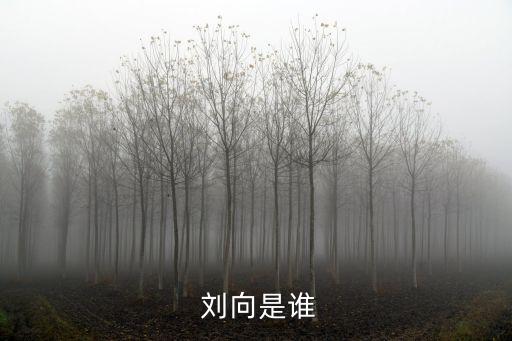 劉向,劉向簡介《戰(zhàn)國策》出自西漢