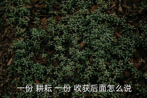 一份耕耘一份收獲