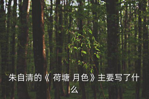 朱自清的《 荷塘 月色》主要寫了什么