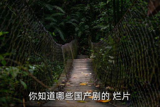 豆瓣十大爛片,大年初一上映電影院沒有排片網上沒有資源