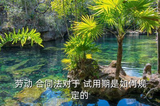 勞動合同法試用期,試用期無效勞動合同期限三個月以上不滿一年