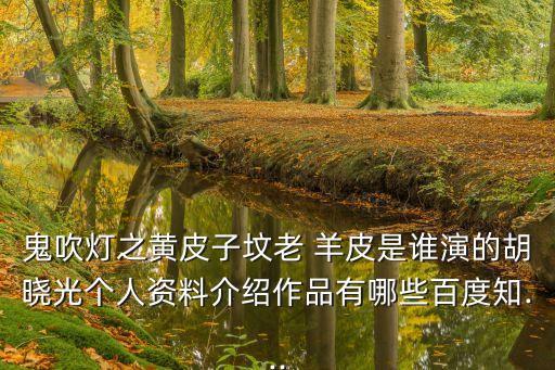 鬼吹燈之黃皮子墳老 羊皮是誰演的胡曉光個人資料介紹作品有哪些百度知...