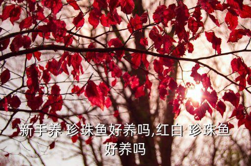 新手養(yǎng) 珍珠魚好養(yǎng)嗎,紅白 珍珠魚好養(yǎng)嗎