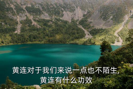  黃連對于我們來說一點也不陌生, 黃連有什么功效