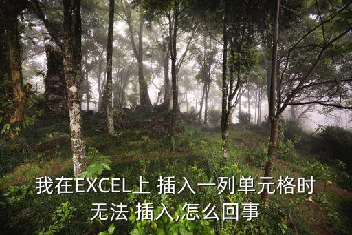 我在EXCEL上 插入一列單元格時(shí)無法 插入,怎么回事