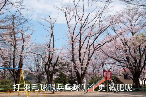 打 羽毛球跟乒乓球哪個更 減肥呢