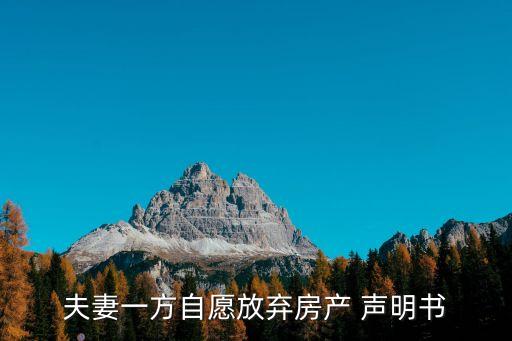 夫妻一方自愿放棄房產(chǎn) 聲明書