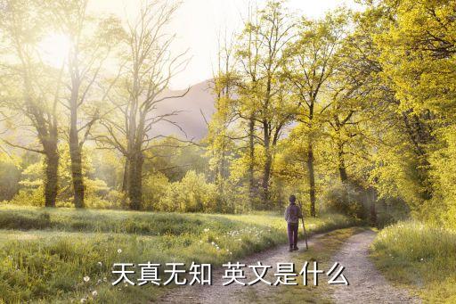 天真的英文,被不負責任戀人欺騙少女譴責自己天真無知