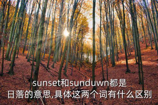 sunset什么意思,堅毅向前預算案