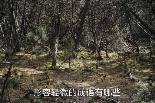 身微言輕,第三十五集:一言九鼎，九鼎大路