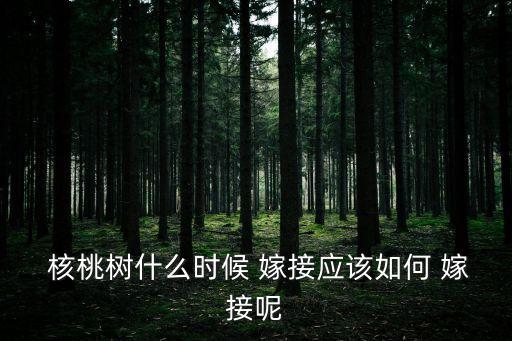  核桃樹什么時候 嫁接應該如何 嫁接呢